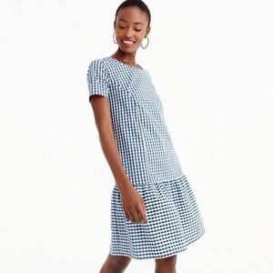 Universal Standard For J. Crew Navy Gingham Poplin Drop-Waist Dress Sz XL Preppy